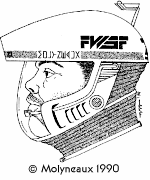 FWSF helmet